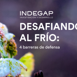 Desafiando al fío