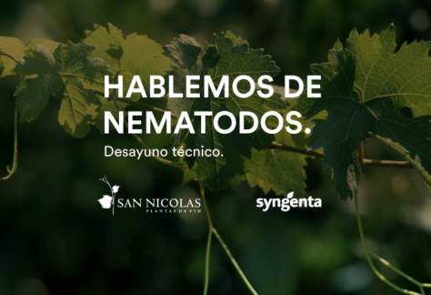 Hablemos de NEMATODOS