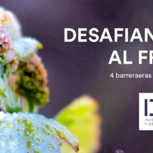 Webinar gratuito - Desafiando al frío